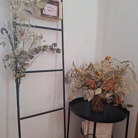 Apartamento ático Con Terraza En